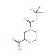 (S)-N-Boc-morpholine-2-carboxylic acid (CAS 868689-63-8) - chemical structure image