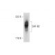 SAF-B2 Antibody (F-1) - Western Blotting - Image 297046