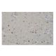 Sall2 Antibody (PL-A12) - Immunohistochemistry - Image 65118 