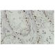 Sall4 Antibody (EE-30) - Immunohistochemistry - Image 36313 