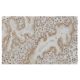 SCML1 Antibody (8-RY28) - Immunohistochemistry - Image 65123 