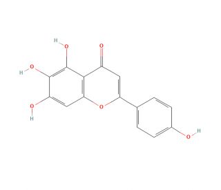 Scutellarein (CAS 529-53-3) - chemical structure image