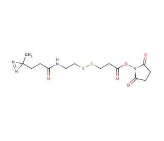 SDAD (NHS-SS-Diazirine) - chemical structure image