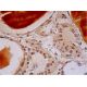 SECp43 Antibody (E-7) - Immunohistochemistry - Image 293439 