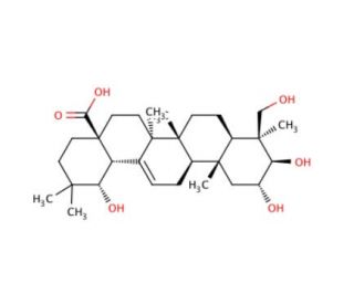 Sericic acid - chemical structure image