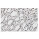 SGK Antibody (84-O) - Immunohistochemistry - Image 53898 
