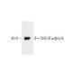 SH2-B α/β/γ/δ Antibody (46) - Western Blotting - Image 60512
