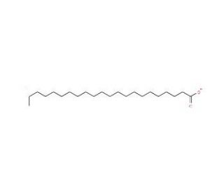 Silver(I) behenate (CAS 2489-05-6) - chemical structure image