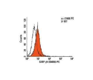 SIRP-&beta;1 Antibody (B4B6) - Flow Cytometry - Image 8140