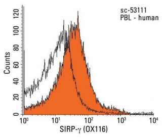 SIRP-&gamma; Antibody (OX116) - Flow Cytometry - Image 13812