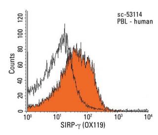 SIRP-&gamma; Antibody (OX119) - Flow Cytometry - Image 13814 