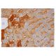 SNAT3 Antibody (H-7) - Immunohistochemistry - Image 350217 