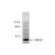 SNX20 Antibody (D-10) - Western Blotting - Image 346557 
