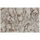 SOCS-5 Antibody (31-L) - Immunohistochemistry - Image 36190 