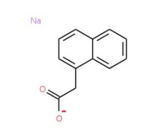 Sodium 1-Naphthaleneacetate (CAS 61-31-4) - chemical structure image