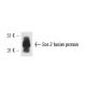 Sos 2 Antibody (A-8) - Western Blotting - Image 13647