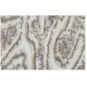 Sp110 Antibody (JR-16) - Immunohistochemistry - Image 36152
