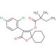 Spirodiclofen (CAS 148477-71-8) - chemical structure image