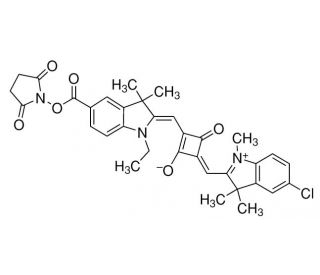 SQ-NHS (CAS 154161-81-6) - chemical structure image