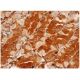 SR-4 Antibody (G-3) - Immunohistochemistry - Image 286285 