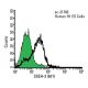 SSEA-3 Antibody (631) - Flow Cytometry - Image 8002 