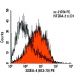 SSEA-4 Antibody (813-70) - Flow Cytometry - Image 9481