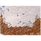 SSH3 Antibody (G-2) - Immunohistochemistry - Image 160227 