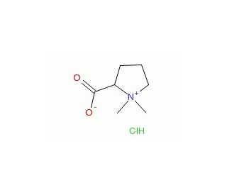 Stachydrine Hydrochloride (CAS 4136-37-2) - chemical structure image