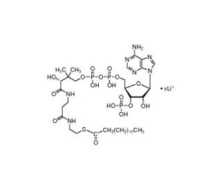Stearoyl coenzyme A lithium salt (CAS 193402-48-1) - chemical structure image