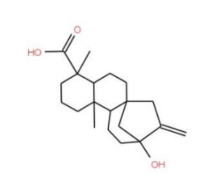 Steviol (CAS 471-80-7) - chemical structure image
