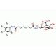 Suberoylanilide-d5 Hydroxamic Acid β-D-Glucuronide - chemical structure image