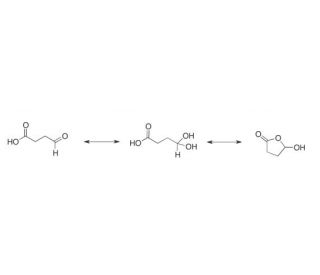 Succinic semialdehyde (CAS 692-29-5) - chemical structure image