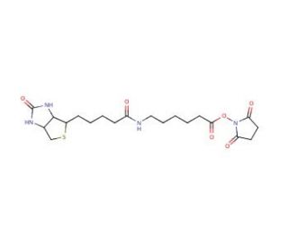 Succinimidyl-6-(biotinamido) Hexanoate (CAS 72040-63-2) - chemical structure image