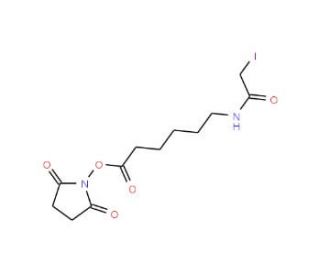Succinimidyl-6-(iodoacetyl)aminocaproate (CAS 134759-23-2) - chemical structure image