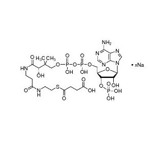 Succinyl coenzyme A sodium salt (CAS 108347-97-3) - chemical structure image