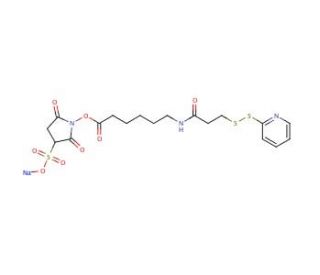 Sulfo-N-succinimidyl 6-[3-(2-Pyridyldithio)propionamido] Hexanoate, Sodium Salt (CAS 169751-10-4) - chemical structure image