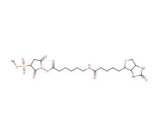 Sulfo-N-succinimidyl 6-(biotinamido) hexanoate, sodium salt (CAS 191671-46-2) - chemical structure image