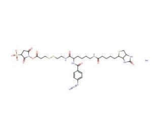 Sulfo-SBED - chemical structure image