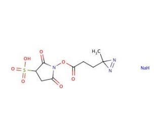 Sulfo-SDA (Sulfo-NHS-Diazirine) - chemical structure image