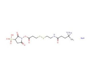 Sulfo-SDAD (Sulfo-NHS-SS-Diazirine) - chemical structure image