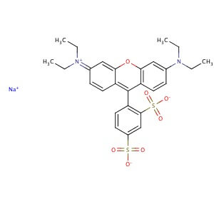 Sulforhodamine B Sodium Salt | CAS 3520-42-1 | SCBT - Santa Cruz ...