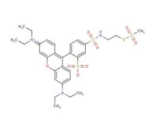 Sulforhodamine Methanethiosulfonate (CAS 386229-71-6) - chemical structure image