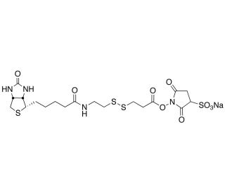 Sulfosuccinimidyl 3-[[2-(Biotinamido)ethyl] dithio]propionate Sodium Salt (CAS 325143-98-4) - chemical structure image