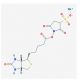 Sulpho NHS biotin (CAS 119616-38-5) - chemical structure image