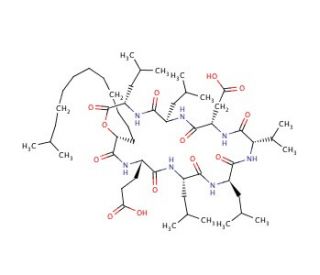 Surfactin (CAS 24730-31-2) - chemical structure image