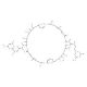 Swinholide I - chemical structure image