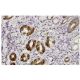 Talin-1 Antibody (YQ-16) - Immunohistochemistry - Image 35893