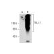 TALL-1 Antibody (B-6) - Western Blotting - Image 130364