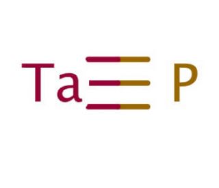 Tantalum phosphide (CAS 12037-63-7) - chemical structure image