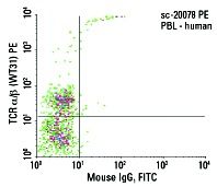 TCR α/β Antibody (WT31) | SCBT - Santa Cruz Biotechnology